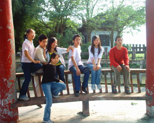 2006  (41)
